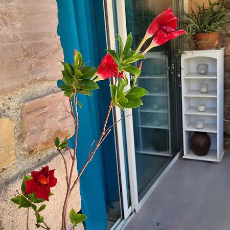 And Garden Blue Eden, Plages De Saint-raphael Cote D Azur * Сен-Рафаэль