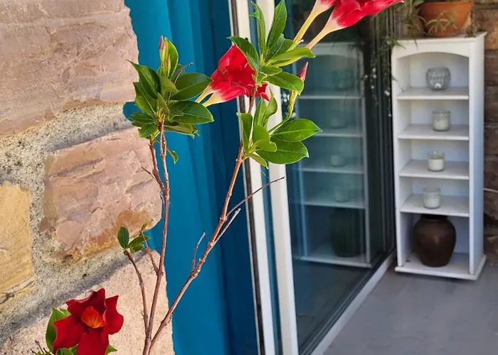 And Garden Blue Eden, Plages De Saint-raphael Cote D Azur * Сен-Рафаэль